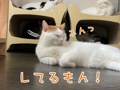 りよ195
