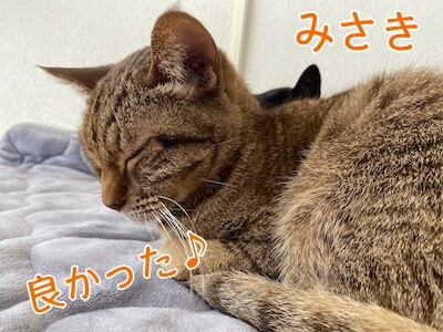 みさき406