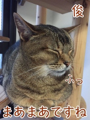 俊94