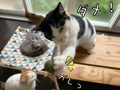 その他56