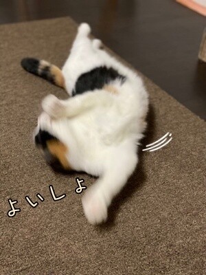 いよ482
