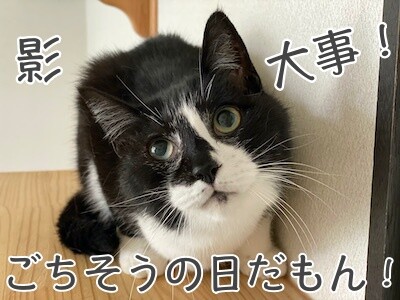 影1