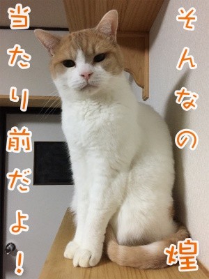 煌99