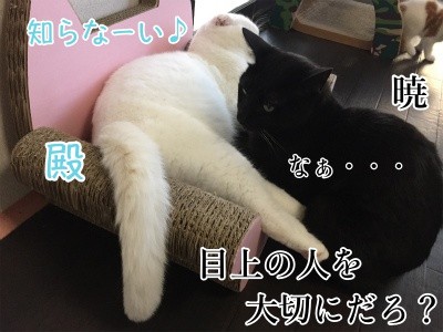 みんな609