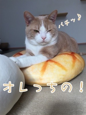 楓377