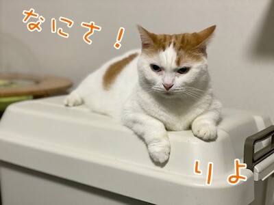 りよ350