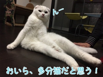 殿22