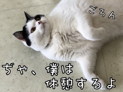 珠若548