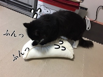 勇104
