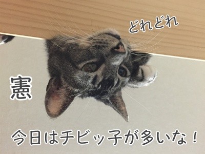 憲26