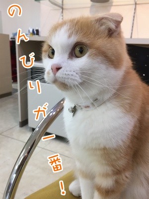 珠若284