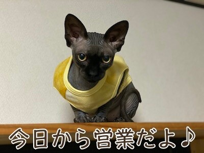 喜67