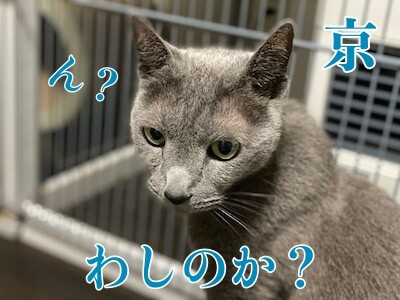 京643