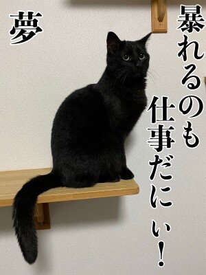 夢110