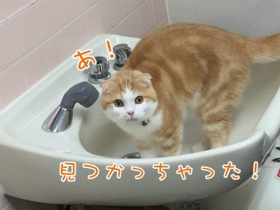 珠30