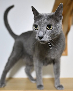 その他389