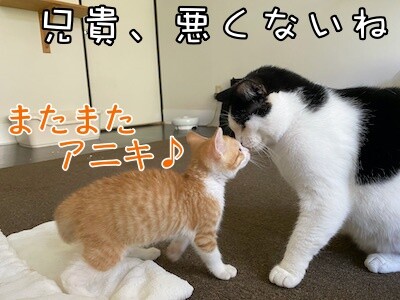 琢3