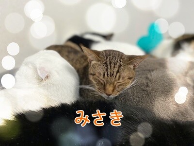 みんな1297