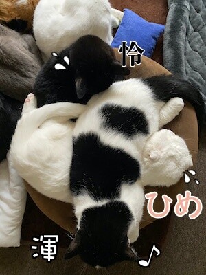 みんな1403