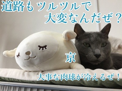 京146