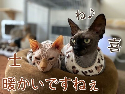 みんな1295