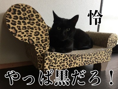 怜40