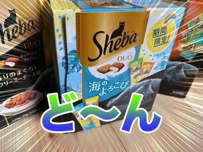 その他293