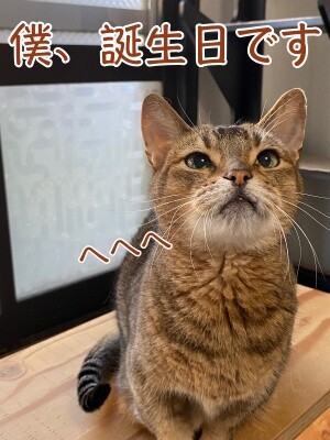 俊423