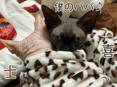みんな1135