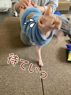 士160