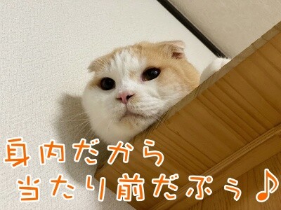 竜30