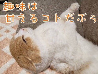 凌57