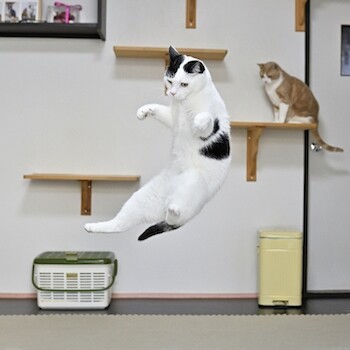 その他348