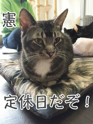 憲193