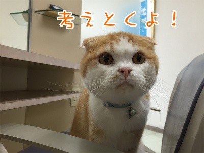 珠26