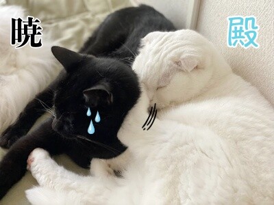 みんな2697