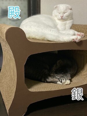 みんな456