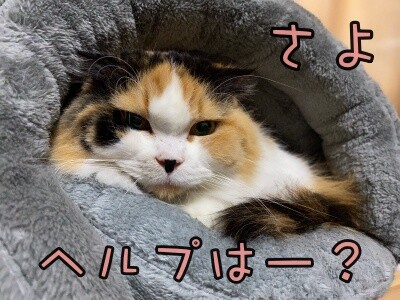 さよ83