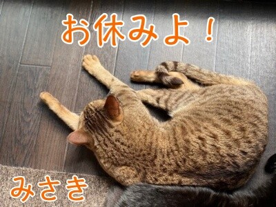 みさき270