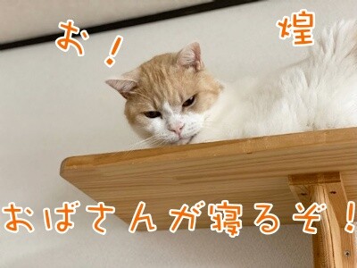 煌264