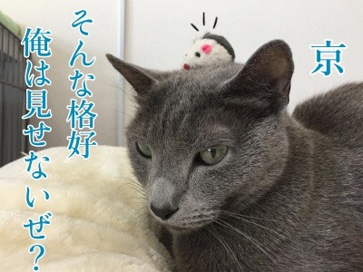 京93