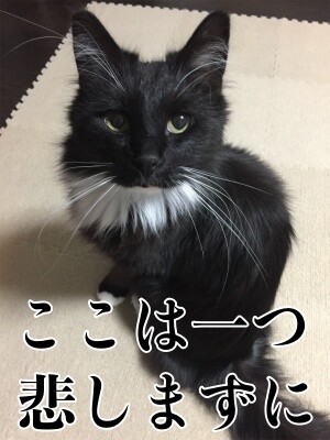 勇123