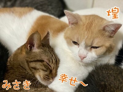 みんな99