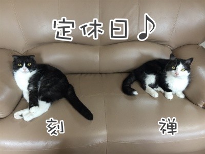 みんな536