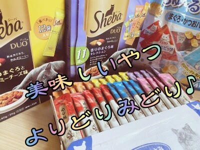 その他328