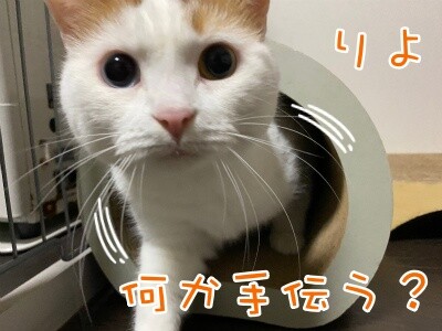 りよ277