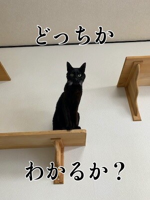 暁18