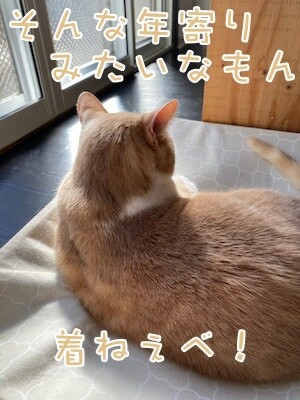 楓371
