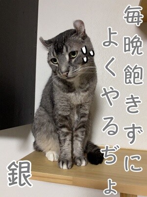 銀289
