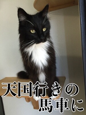 勇124